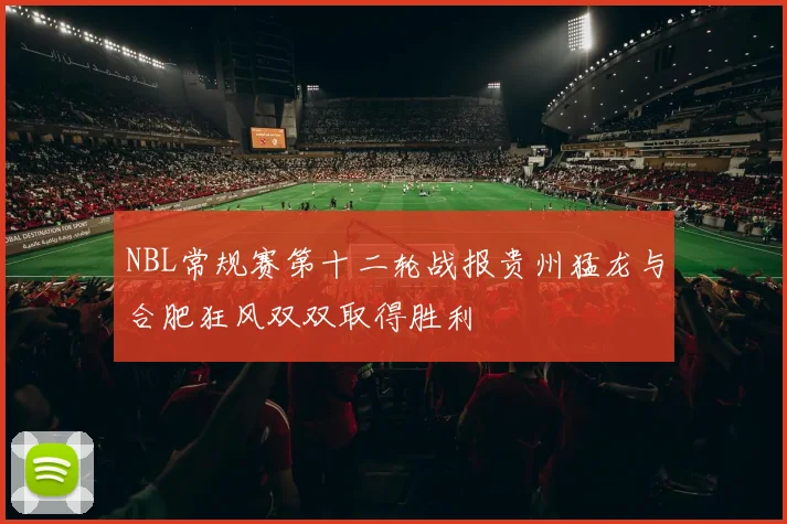 NBL常规赛第十二轮战报贵州猛龙与合肥狂风双双取得胜利