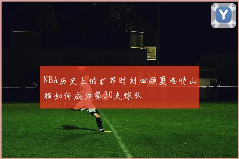 NBA历史上的扩军时刻回顾夏洛特山猫如何成为第30支球队